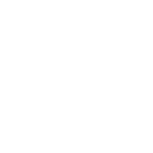 Controller Logo